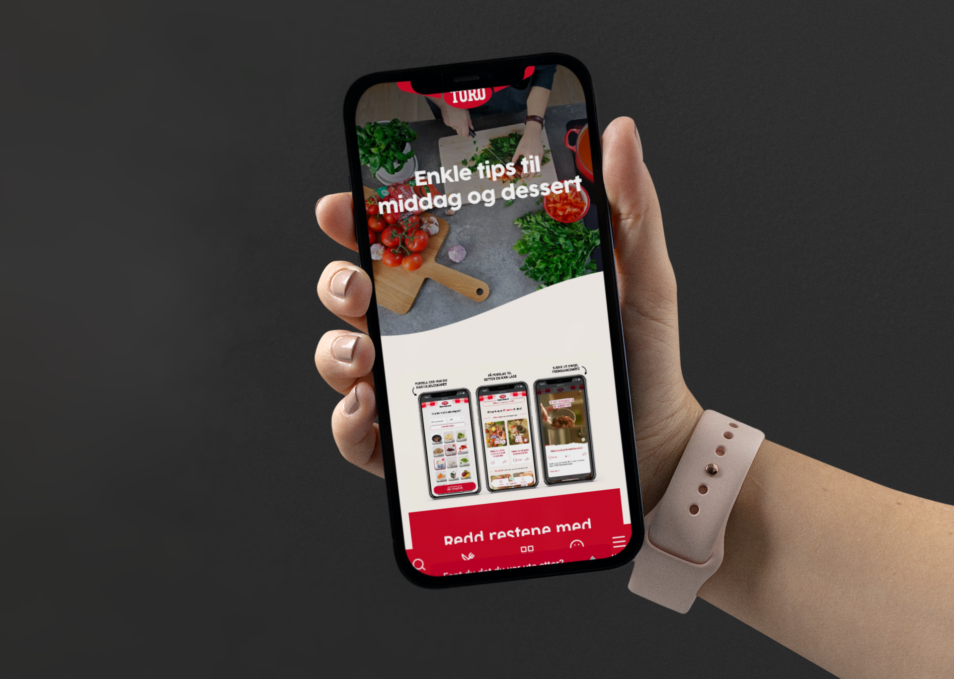 Illustrasjonsbilde som viser en hånd som holder en mobiltelefon med skjermbilde fra Toro's nettside
